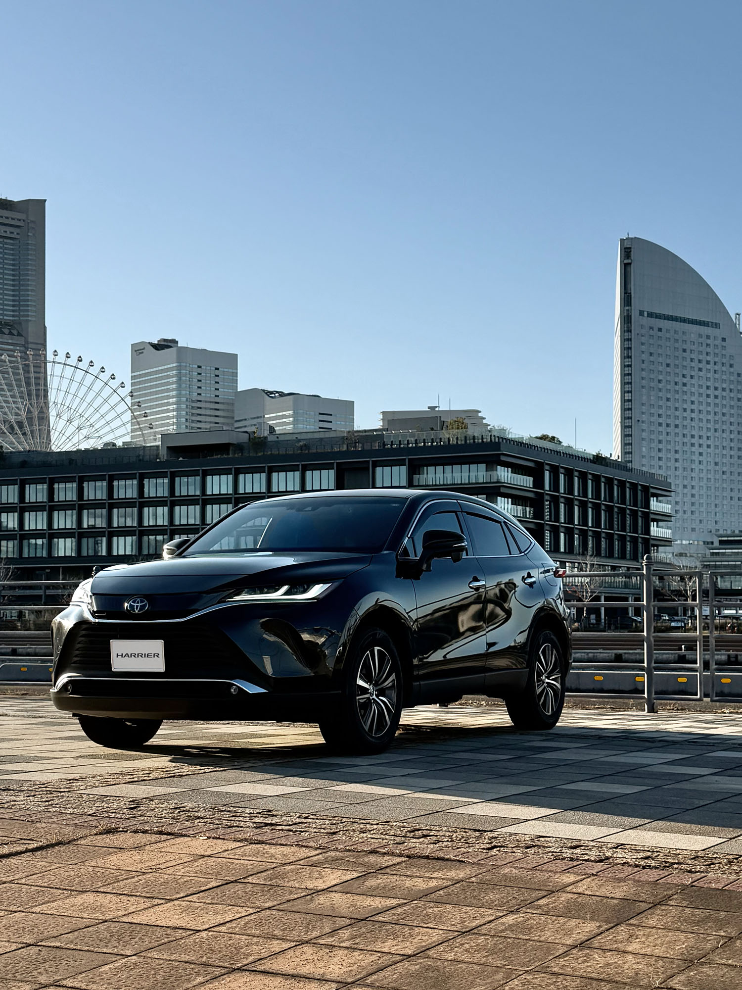 コントラストが強く出て、<br class="only-sp">目の行き所がはっきりとした<br class="only-sp">印象になりました！