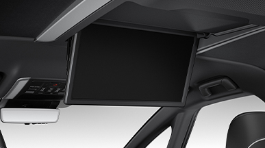 14インチリヤシートエンターテインメントシステム