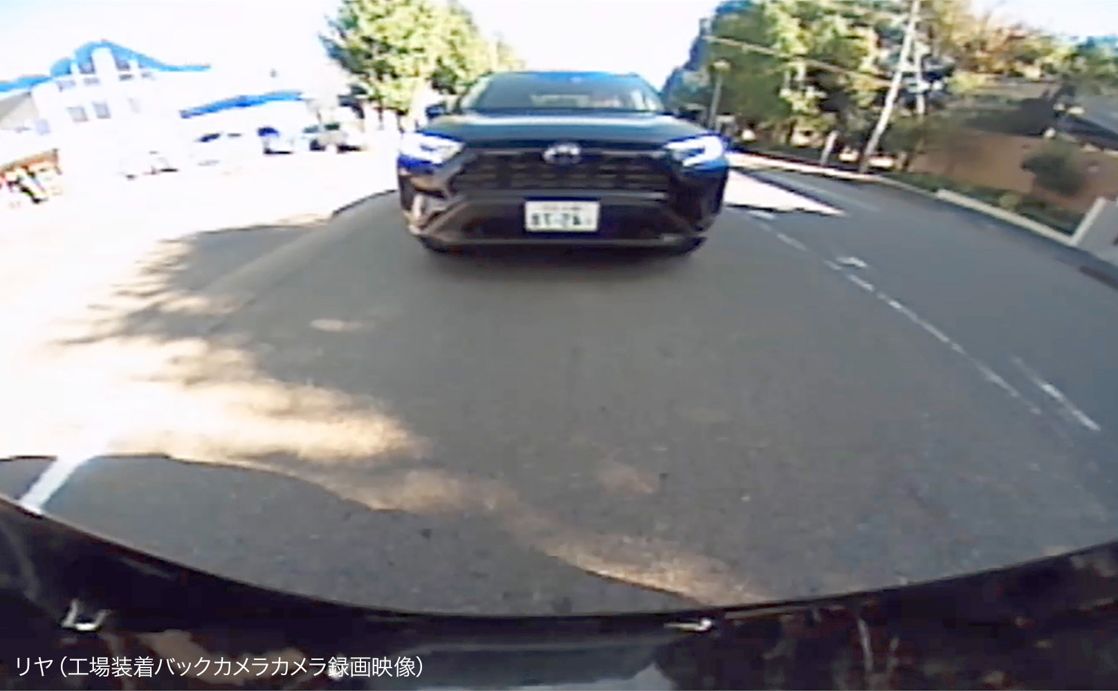 バックカメラ利用タイプ 画像2