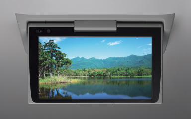 圧倒的に美しく鮮やかな映像