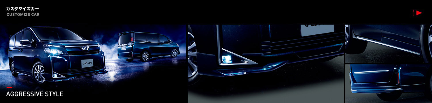 CUSTOMIZE CAR カスタマイズカー