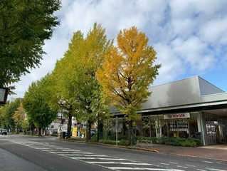 トヨタモビリティ東京 八王子いちょう通り店の外観写真