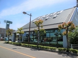 愛媛トヨペット 空港通本店の外観写真