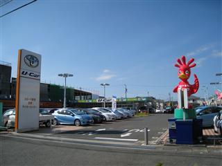 トヨタカローラ愛知 豊橋マイカーセンター店舗情報 トヨタ認定中古車 トヨタ自動車webサイ