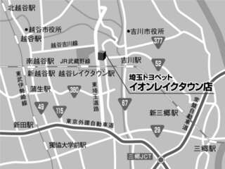 埼玉トヨペット イオンレイクタウン店の地図
