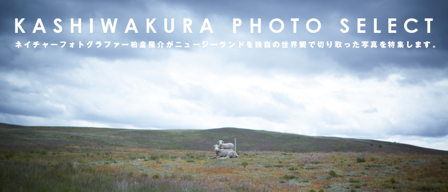 KASHIWAKURA PHOTO SELECT@lC`[tHgOt@[qzj[W[hƎ̐EςŐ؂ʐ^W܂B