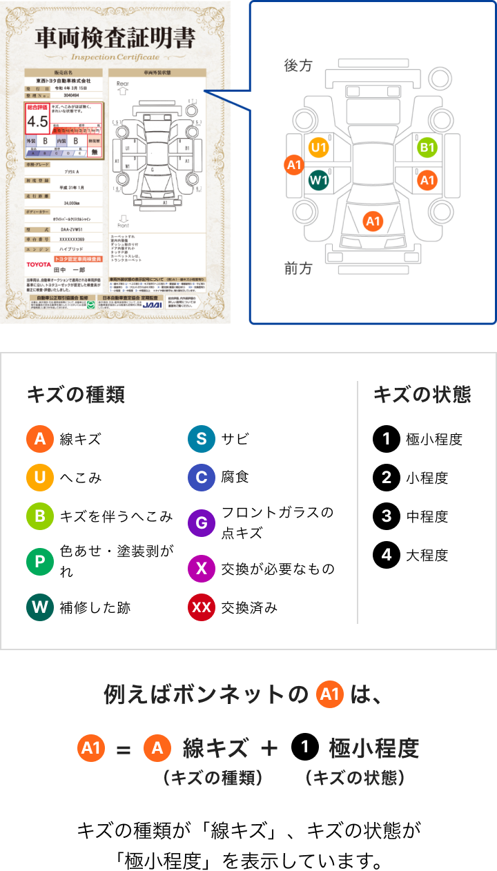 車両展開図の見方